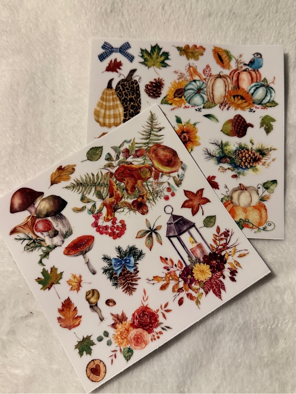 Autumn Harvest Pumpkin & Foliage Rub on Transfers